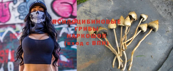 сатива Волосово