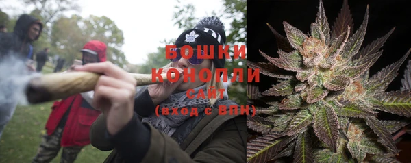 твердый Верхний Тагил