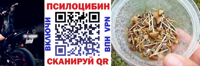 закладки  Дубовка  мега сайт  Галлюциногенные грибы Magic Shrooms 